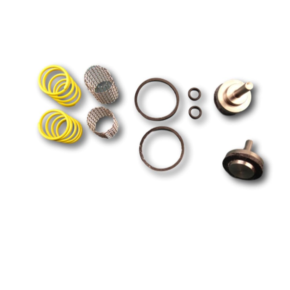 Sencoday for Leonard Valve Kit 2/50Y Checkstop Kit Replaces Parts