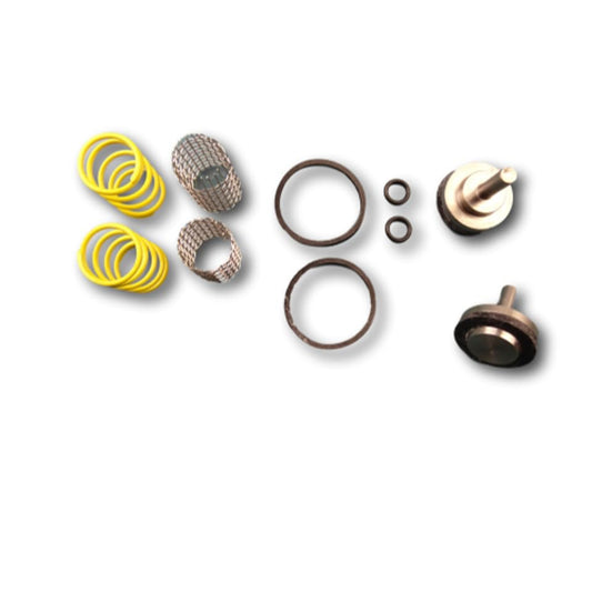 Sencoday for Leonard Valve Kit 2/50Y Checkstop Kit Replaces Parts
