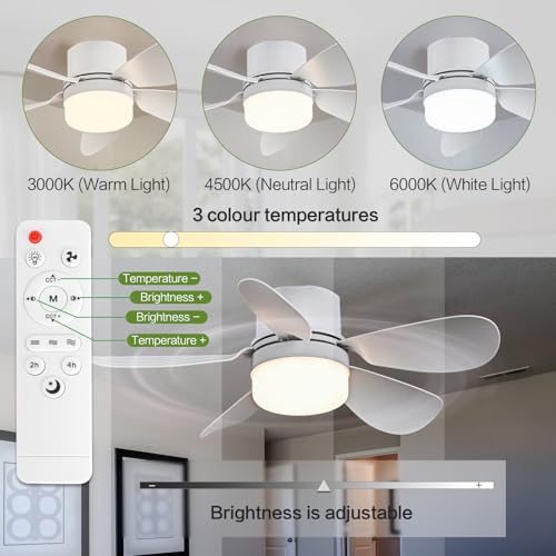 16.54 Inch E26 Socket Fan Light with Remote Control, Dimmable LED & 3-Speed Ceiling Fan for Bedroom & Kitchen
