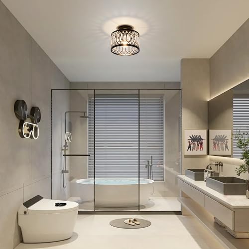 Rpzloila 9-Inch Black Crystal Ceiling Light Fixture Modern Semi-Flush Mount