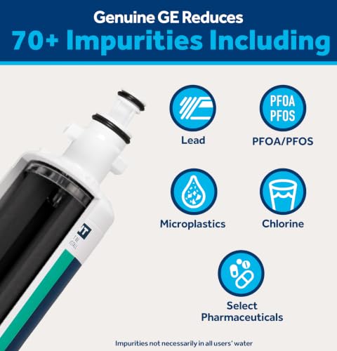 GE RPWFE Refrigerator Water Filter 1-Pack - Genuine, Fits GE French Door Models