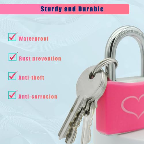 2 Pack Pink Padlock with 3 Keys, Locker Lock with 1-9/16" (40 mm) Wide Aluminum Lock Body, Padlock Keyed Alike for Gym Locker, Gate, Sheds, Storage Unit, Fence, Toolbox