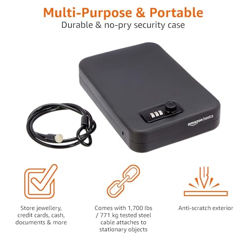 Amazon Basics XL Portable Security Case with Combination Lock for Valuables