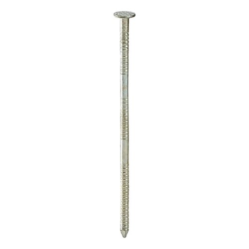 Freeman SNRSG92-25WC 15 Degree 2-1/2" Wire Collated Galvanized Ring Shank Coil Siding Nails (3600 count)