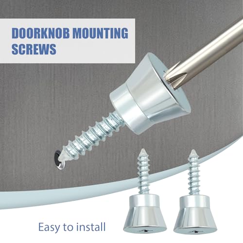 LIDSCURA WPW10661886 Door Handle Mounting Screws – Replacement for Whirlpool Replaces W10460893 (2)