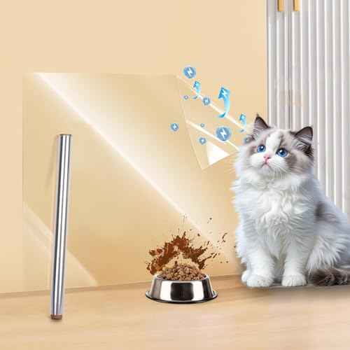 Clear Electrostatic Wall Protective Film,1.31 x 32.81ft Clear Contact Paper Peel and Stick Wallpaper from Furniture, Dog, Trash Can, Food Splash, Back Chair (10M)