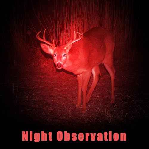 Honoson 2 Pieces Red Light Flashlight LED Single Mode Torch 1 Mode Scalable Red Lens Filter Flashlight for Night Astronomy Aviation Observation Beach Turtle Safe