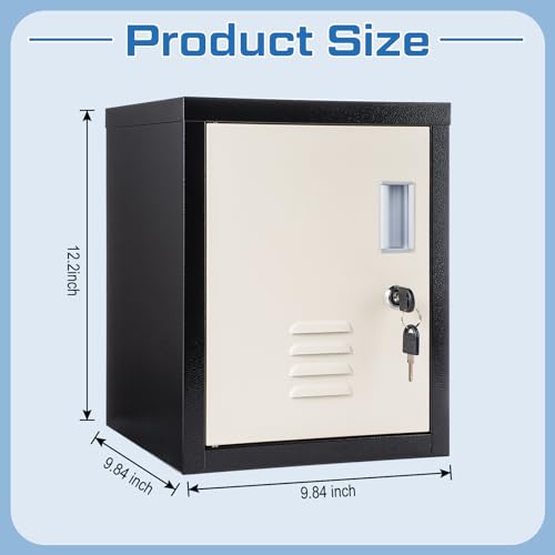 Suzile Lockable Metal Storage Cabinet for Office & Home Black Beige