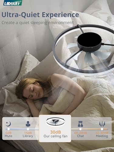LEDIARY 20-Inch Black Low Profile Modern Ceiling Fan with Lights, APP & Remote