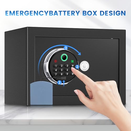 FOWORE Small Biometric Safe Box for Home Security, Compact Steel Design