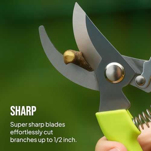 Craft911 2-Pack Stainless Steel Gardening Pruning Shears & Snips - Durable, Ergonomic, Safety Lock, Combo for Gardening & Landscaping