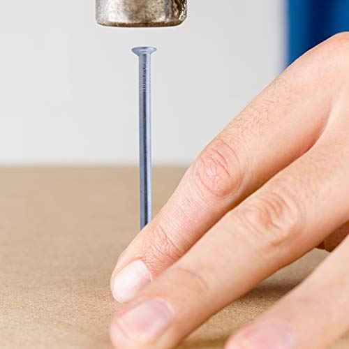 Hardware Nails Assortment Kit, 600PCS Galvanized Nails, Picture Hanging Nails, Includes Finish, Wire, Common, Brad Nails