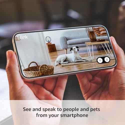 Blink Mini 2 ? Home Security & Pet Camera with HD video, color night view, motion detection, two-way audio, and built-in spotlight ? 1 camera (White)