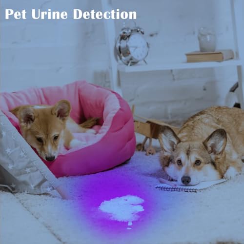 Black Light UV Flashlight, High Power Blacklight Flashlight Rechargeable, 385-395nm Wavelength Beam Best for Pet Urine Detection, Scorpion, Resin Curing, Bed Bug