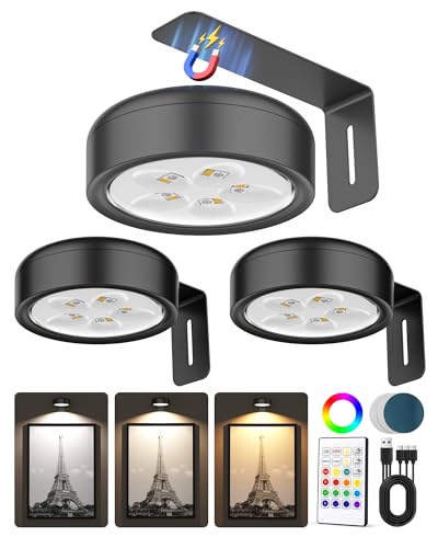Black 3 Pack Rechargeable Magnetic LED Picture Lights with Remote – Art Frame & Wall Decor