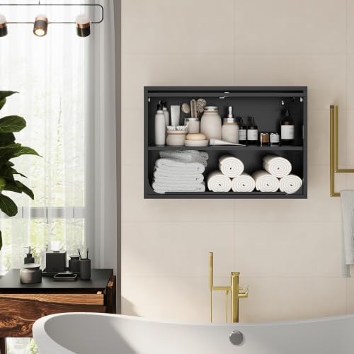 Fesbos 15.7" x 31.5" x 21.6" Black Metal Wall Cabinet with Locking Door, 0.6mm Steel, 120 lb Shelves