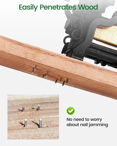 Meite 16 Gauge 1-Inch Wide Crown Staples - Heavy Duty Galvanized P-Type, 10,000 PCS