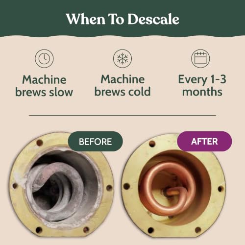 Breville Compatible Descaling Solution 2 Pack | Roobi Descaling Solution