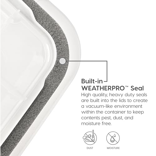 IRIS USA Plastic File Letter/Legal, Water Resistant Document Box, Durable Lid, Seal w/Secure Latching Buckles, Stackable, Nestable, WeatherPro - 1 Pack, Clear