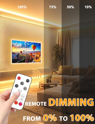 Lamomo 16.4Ft Dimmable COB LED Strip Lights Warm White Waterproof Rope Light with Remote