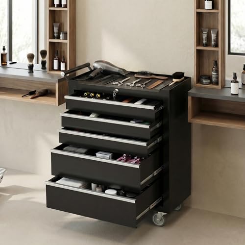 Garvee Black 5-Drawer Rolling Tool Chest Cabinet with Locking System, 24in Toolbox on Wheels