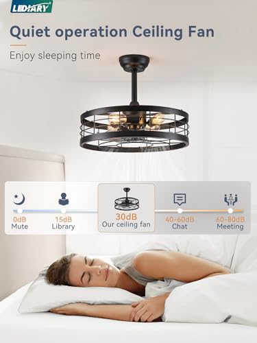 Black 20 Inch LEDIARY Fandelier Caged Ceiling Fan with Light & Remote