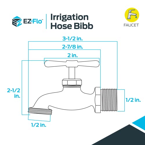 Eastman Brass Irrigation Hose Bibb 1/2 in. MIP x 1/2 in. MHT Outdoor Garden Valve - Model 20181