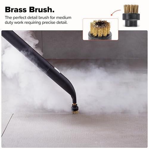 Dupray Assorted Brushes (10-Piece) – Brass, Nylon, Stainless & Horsehair for Dupray Steam Cleaner