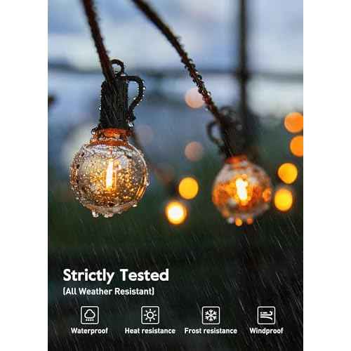 Outdoor String Lights 25 Feet G40 LED Patio Lights, Plug-in, 13 Plastic Edison Bulbs(1 Spare), Waterproof Connectable Hanging Light for Backyard Porch Balcony Party Decor, E12 Base, Black