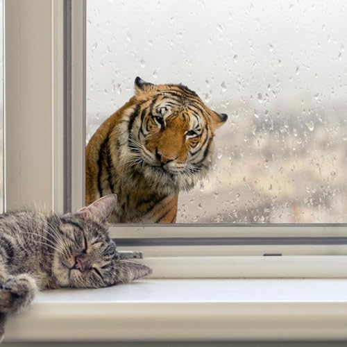Realistic Tiger Wall Decal, Safari Jungle Animal Window Wall Sticker for Nursery, Kids Room, Bedroom or Wildlife Themed Decor