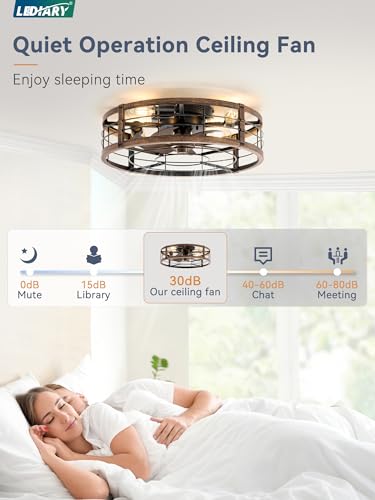 LEDIARY 20-Inch Black & Gold Caged Low Profile Ceiling Fan with Light & Remote