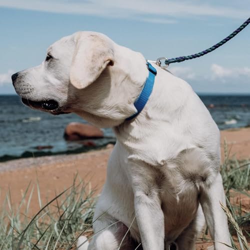 Frclona 5PCS Heavy Duty Stainless Steel Lobster Clasp Trigger Snap Hooks for Bags & Pet Leashes