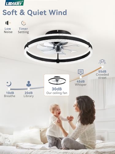 LEDIARY 20-Inch Black Ceiling Fan with Lights, Remote & 6 Speeds - Modern Flush Mount Fan for Bedroom