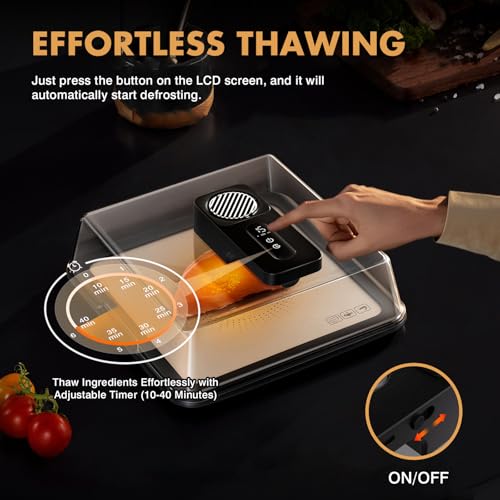 AuntyFey Black Rapid Defrosting Tray for Frozen Meat – Thawing Plate