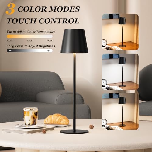Black Matte Rechargeable Cordless Table Lamp Set with Touch Control & 3 Color Modes