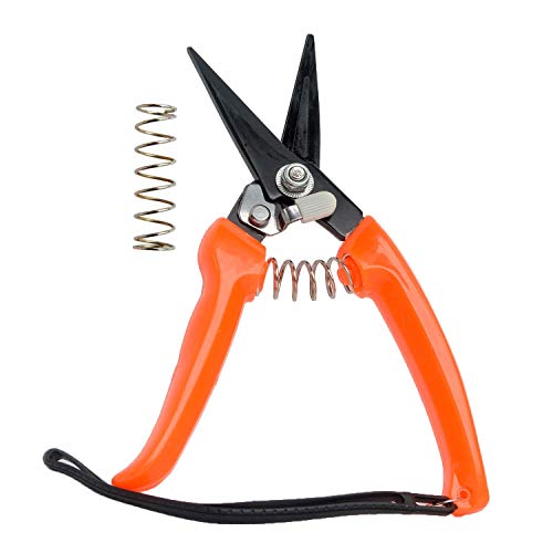 8-Inch Goat & Sheep Hoof Trimming Shears with Carbon Steel Blades - Multiuse Livestock & Gardening Tool