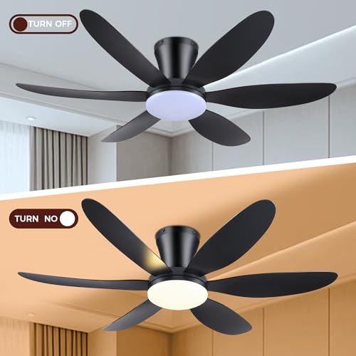 GJeg 42 Inch Black Ceiling Fan with Lights Remote Control Low Profile