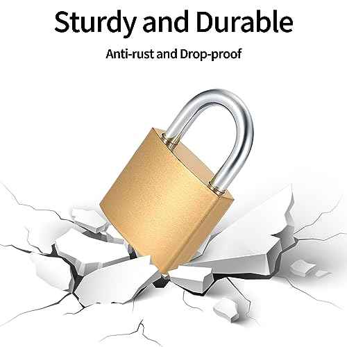 4 Pcs Small Keyed Padlocks with Keys, Pad Locks,Solid Brass Padlock with Key, Lockers Locks with Same Keys for Toolbox, Sheds, Storage Unit, Gym, Fence, Lockers Padlocks