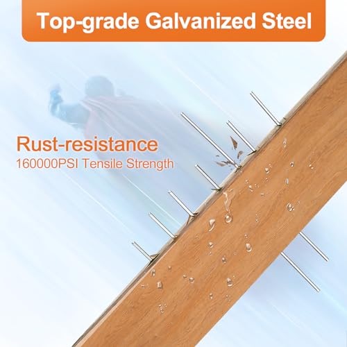 Pinoze Heavy Duty Galvanized Upholstery Staples & Brad Nails Kit - Multiple Sizes for Nail Guns