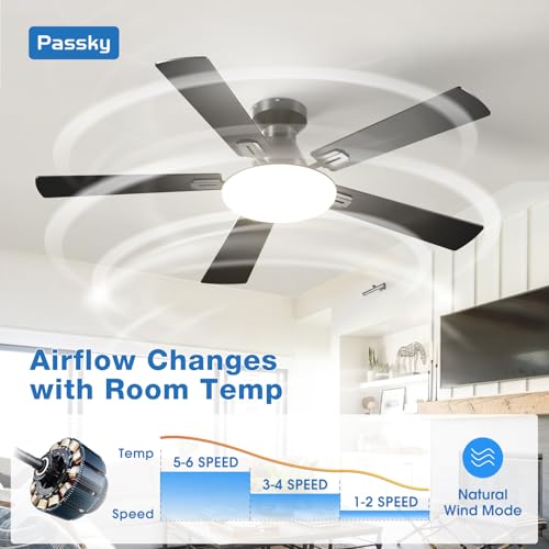 Passky Black 52 Inch Low Profile Ceiling Fan with Lights & Remote