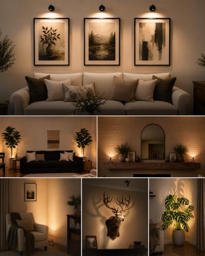 EZVALO Black Rechargeable Indoor Spotlights for Wall Display, 2 Pack