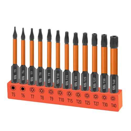 12-Piece Tamper Resistant Torx Bits Set, 60mm Impact Driver Bit Set, Drill Hex Bit Set T5 - T40
