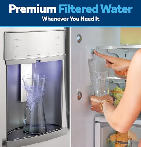 GE RPWFE Refrigerator Water Filter 1-Pack - Genuine, Fits GE French Door Models
