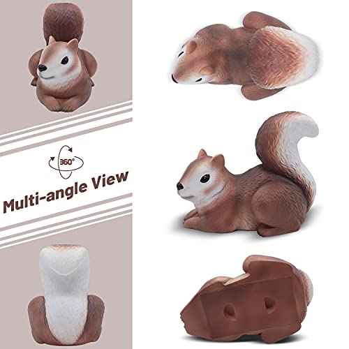 Spare Key Hider Squirrel Shape Garden Decoration Safe Holder for Outdoor Yard Large Size Design (4¡¿5.2¡¿3.4 inchs)