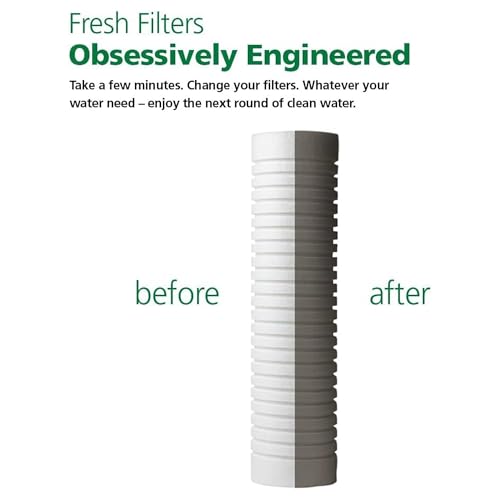 A. O. Smith 2.5x10 5-Micron Universal Sediment Filter Cartridge - Includes 2, NSF Certified