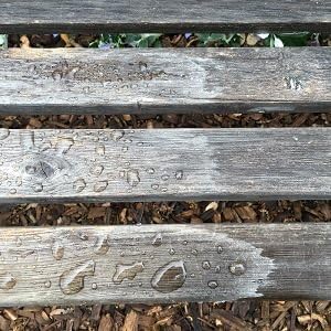 Howard Feed-N-Wax Restorative Wood Furniture Polish and Conditioner 64 Ounce 1/2 Gallon, Beeswax Feeds Wood, Antique Furniture Restoration