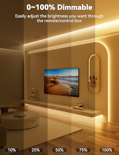 PAUTIX 16.4ft 2700K COB LED Strip Light - Dimmable, UL Listed, Warm White, 24V, RF Remote, Flexible Tape