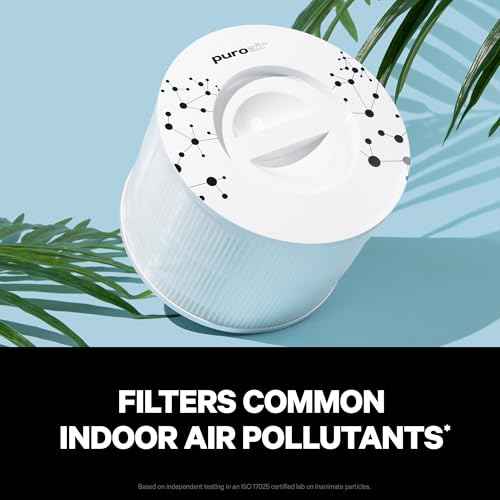 PuroAir 240 Replacement Filter - HEPA Filters up to 99.9% of Smoke, Pollen, Dust and Common Household Pollutants - HEPA Air Filter Replacement for PuroAir 240 Air Purifier (2 Pack)