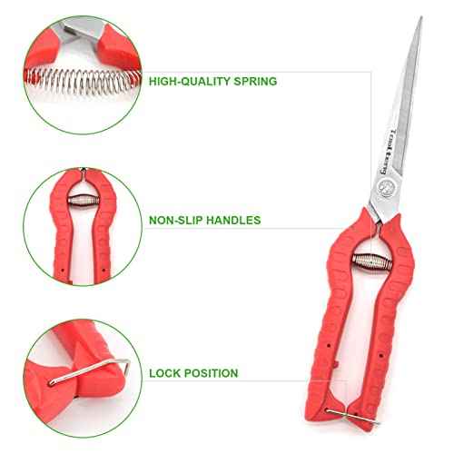 Extra Long Garden Scissor, Stainless Steel Pruning Shears, Bonsai Plant Trimming Scissors for thorny roses plant Flowers Harvesting Herbs Fruits or Vegetables
