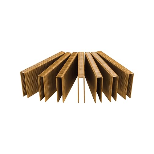 Freeman 16-Gauge 2-Inch Medium Crown Construction Staples | 1,000 Count | Galvanized Steel for Indoor & Outdoor Use